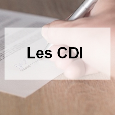 Les CDI - Vie-Pro