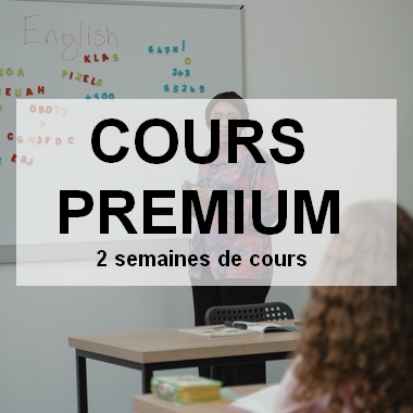 Cours d'anglais premium - 2 semaines de cours - Vie-Pro