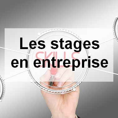 Les stages - Vie-Pro